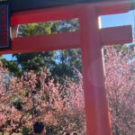 Thumbnail of post image 149